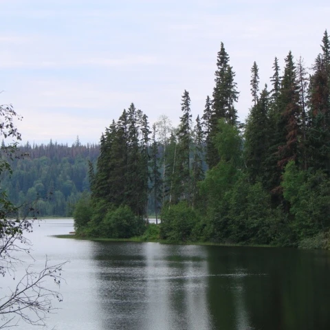 Photo: Recreation Sites and Trails BC. © Province of British Columbia, licensed under the Open Government Licence – British Columbia. Chubb Lake, photo 3