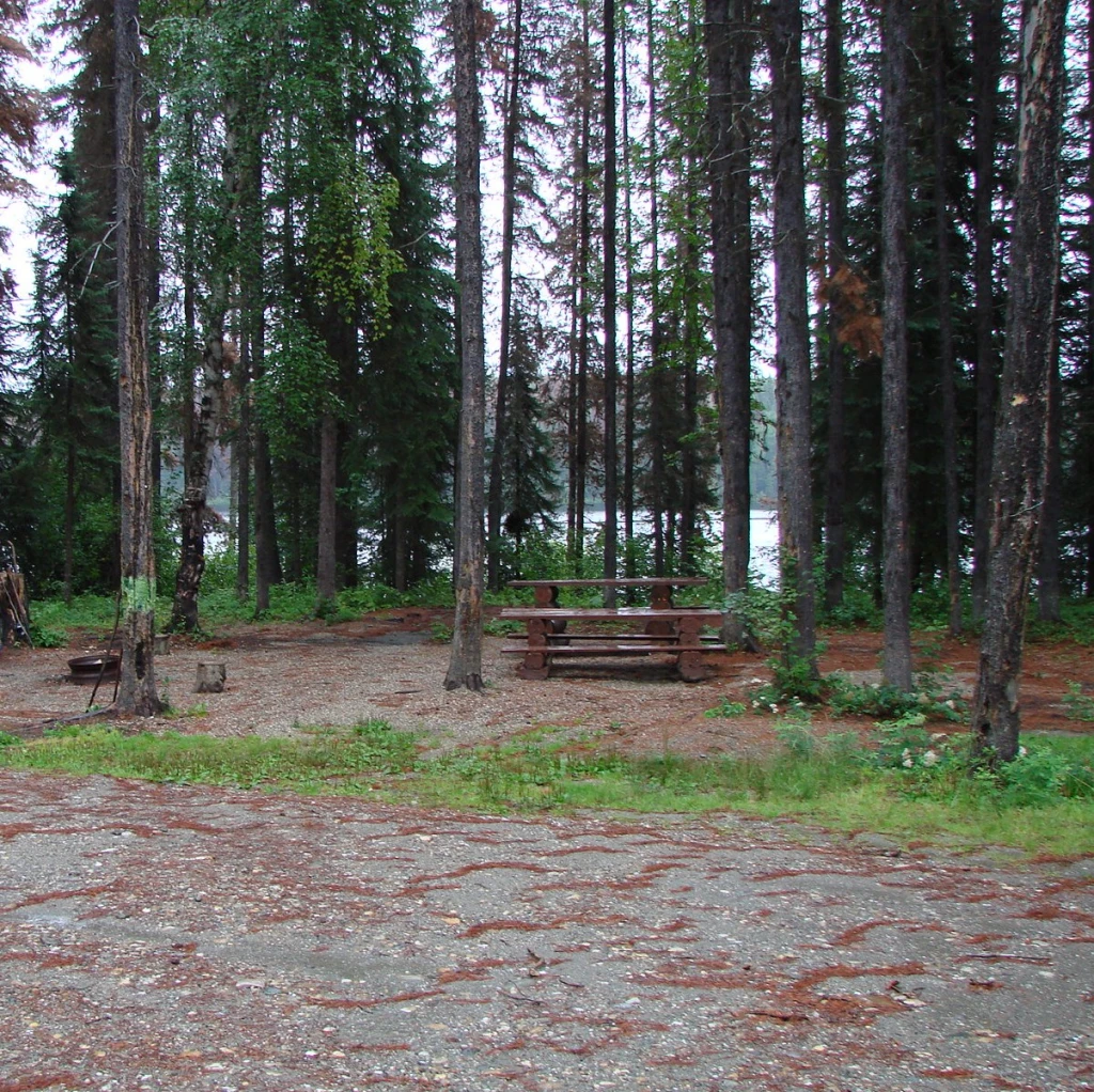 Photo: Recreation Sites and Trails BC. © Province of British Columbia, licensed under the Open Government Licence – British Columbia. Gataiga Lake, photo 2