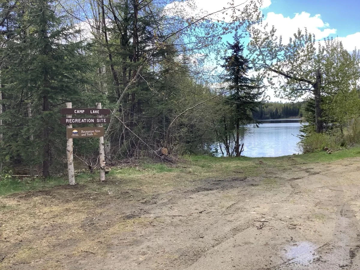 Photo: Recreation Sites and Trails BC. © Province of British Columbia, licensed under the Open Government Licence – British Columbia. Camp Lake, photo 3