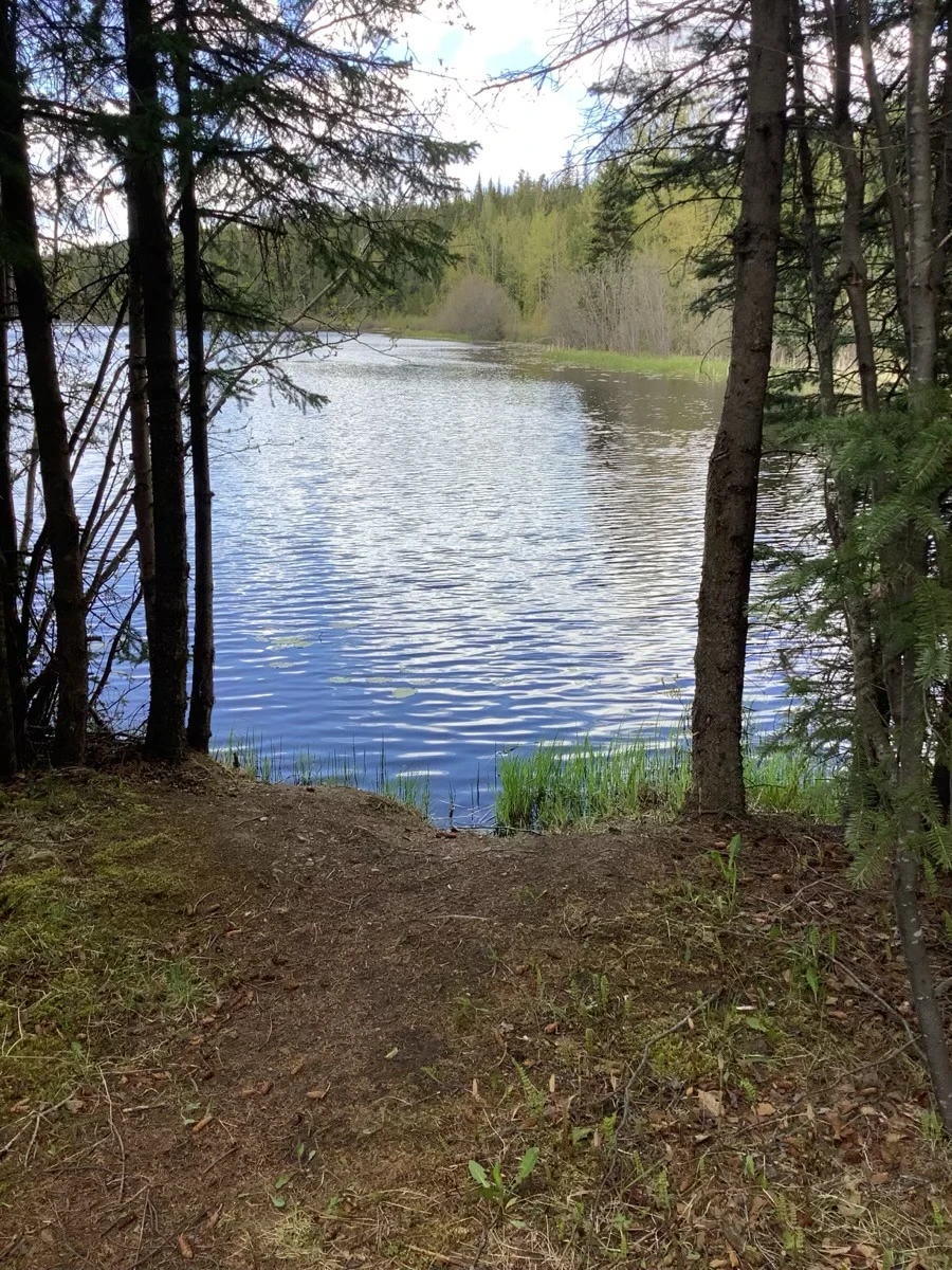 Photo: Recreation Sites and Trails BC. © Province of British Columbia, licensed under the Open Government Licence – British Columbia. Camp Lake, photo 2