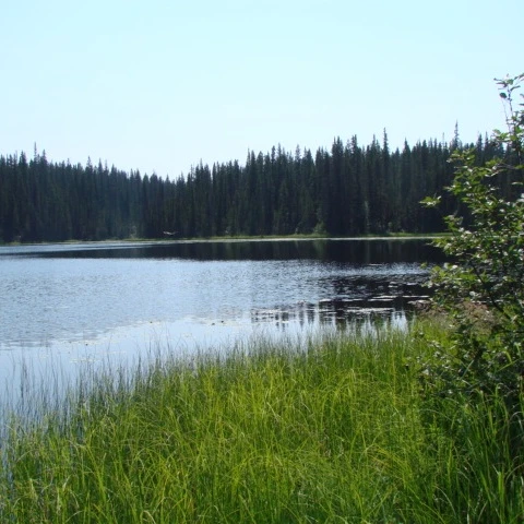 Government Lake