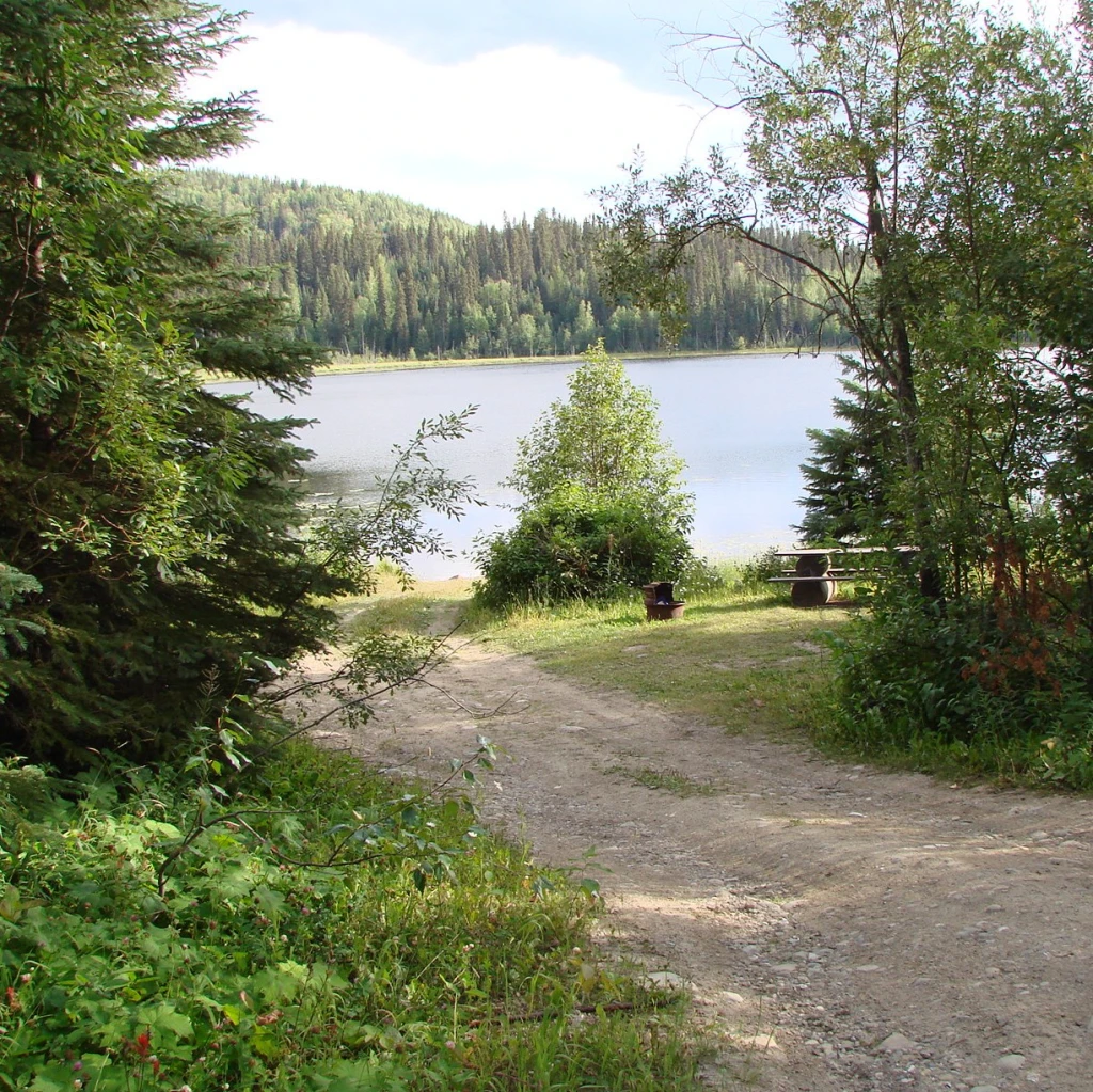 Photo: Recreation Sites and Trails BC. © Province of British Columbia, licensed under the Open Government Licence – British Columbia. Fishhook Lake, photo 2
