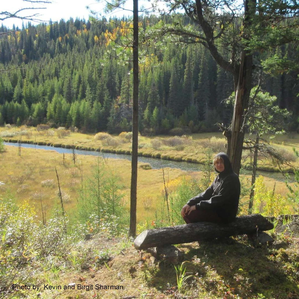 Photo: Recreation Sites and Trails BC. © Province of British Columbia, licensed under the Open Government Licence – British Columbia. Flatbed Creek