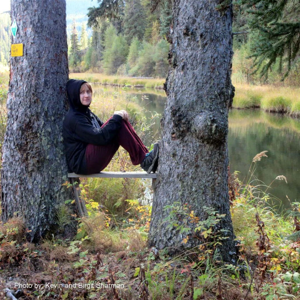 Photo: Recreation Sites and Trails BC. © Province of British Columbia, licensed under the Open Government Licence – British Columbia. Flatbed Creek, photo 2