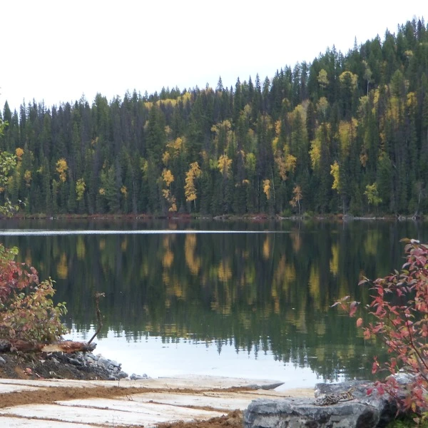 Tacheeda Lakes Point