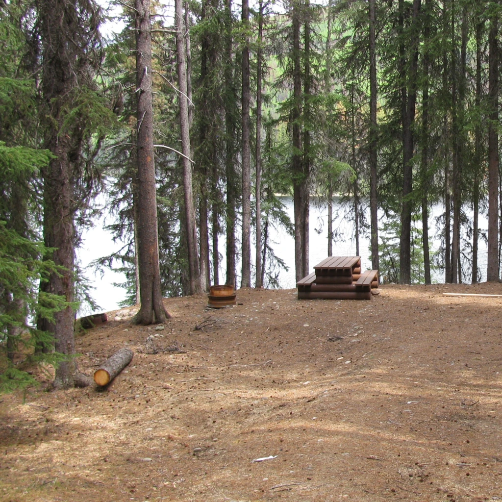 Photo: Recreation Sites and Trails BC. © Province of British Columbia, licensed under the Open Government Licence – British Columbia. Wolverine Lake, photo 2