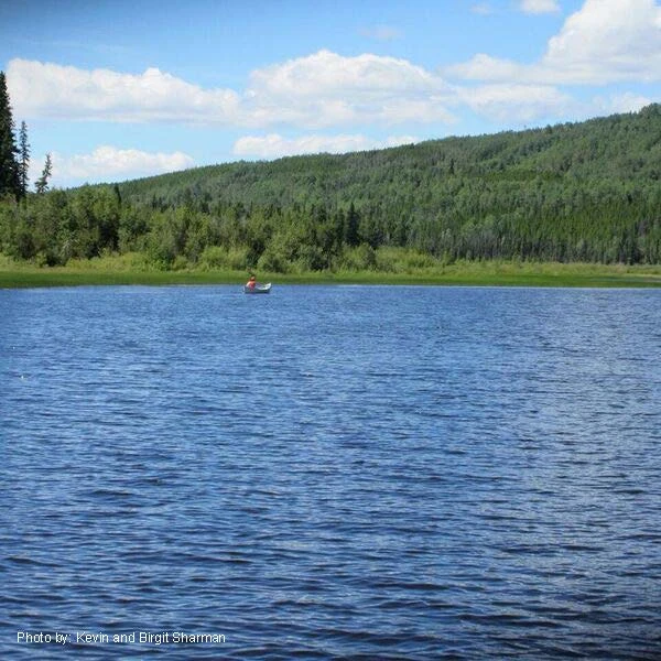 Photo: Recreation Sites and Trails BC. © Province of British Columbia, licensed under the Open Government Licence – British Columbia. Moose Lake