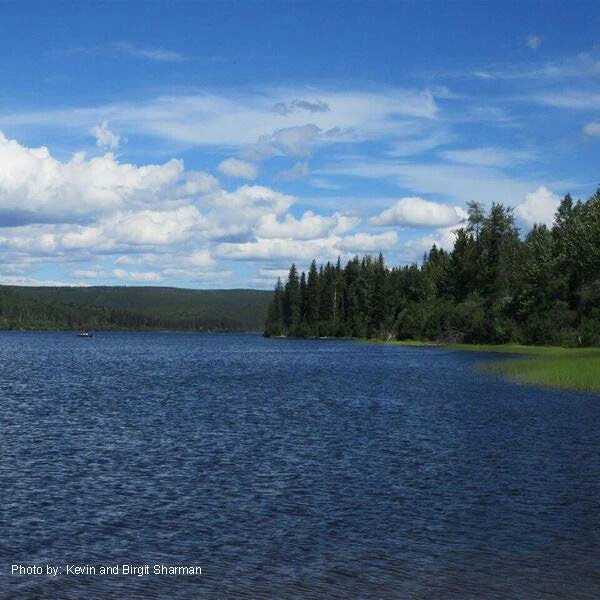 Photo: Recreation Sites and Trails BC. © Province of British Columbia, licensed under the Open Government Licence – British Columbia. Moose Lake, photo 3
