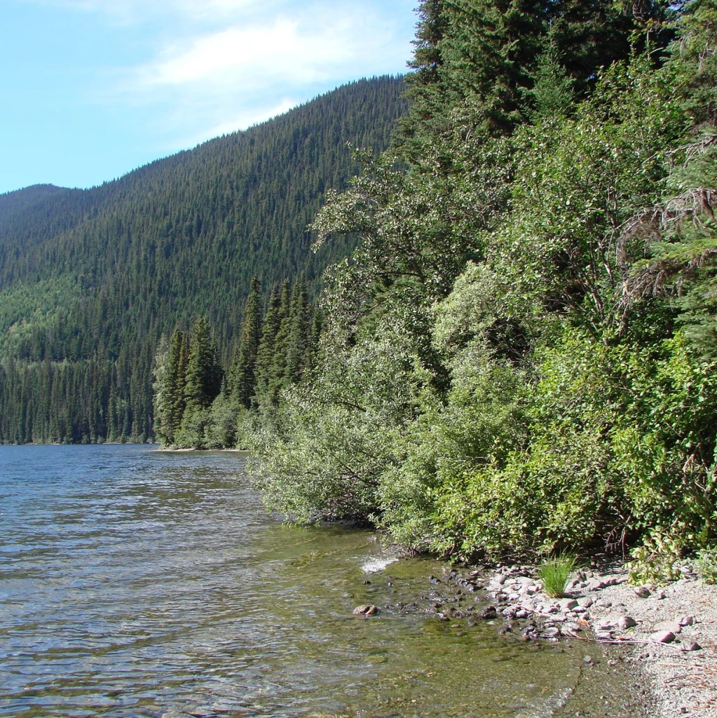 Photo: Recreation Sites and Trails BC. © Province of British Columbia, licensed under the Open Government Licence – British Columbia. Narrow Lake East, photo 3