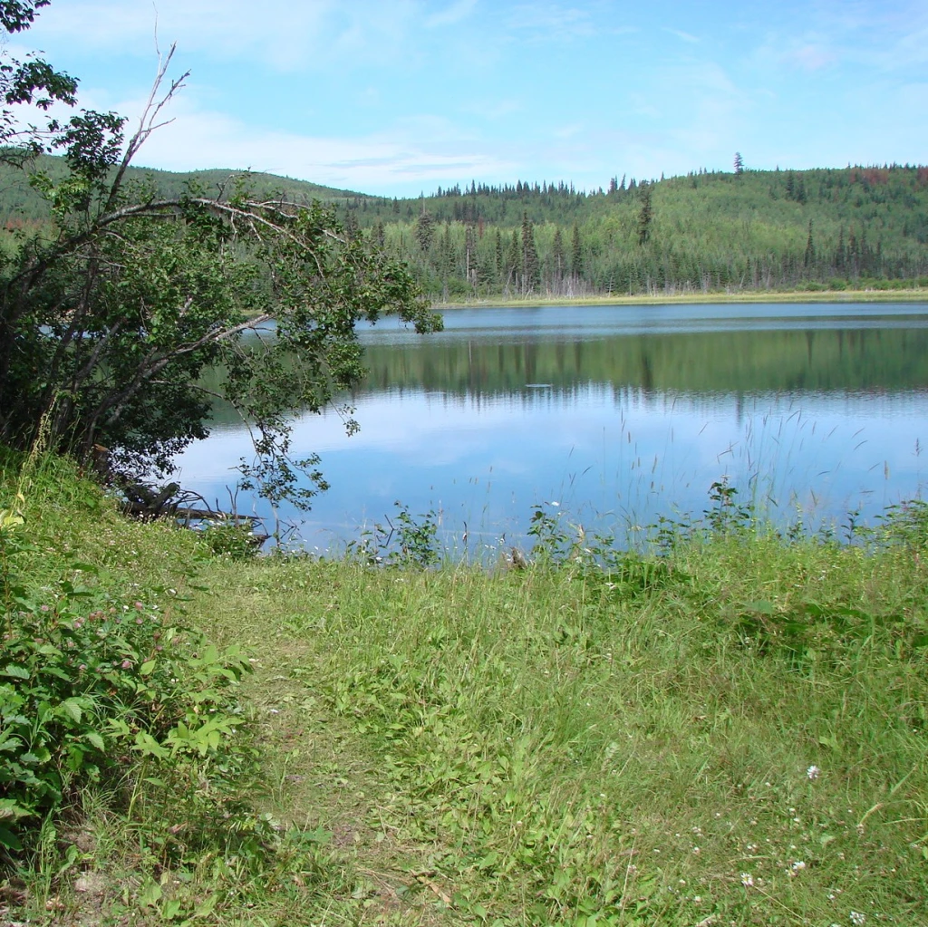 Photo: Recreation Sites and Trails BC. © Province of British Columbia, licensed under the Open Government Licence – British Columbia. Cat Lake