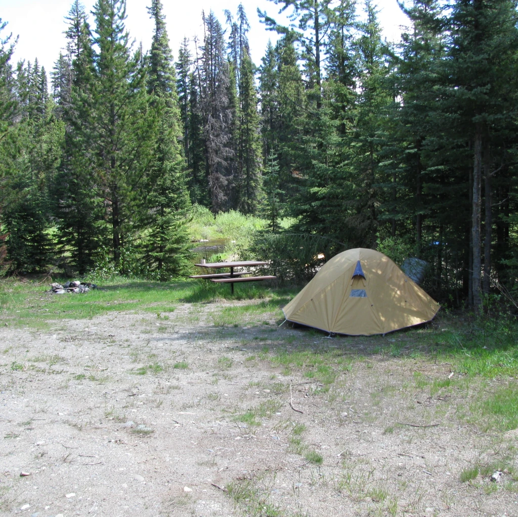 Photo: Recreation Sites and Trails BC. © Province of British Columbia, licensed under the Open Government Licence – British Columbia. Naver Creek
