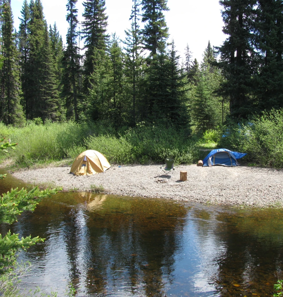 Photo: Recreation Sites and Trails BC. © Province of British Columbia, licensed under the Open Government Licence – British Columbia. Naver Creek, photo 2