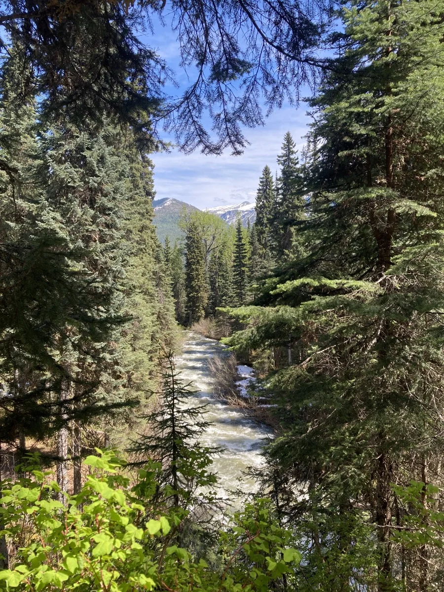Photo: Recreation Sites and Trails BC. © Province of British Columbia, licensed under the Open Government Licence – British Columbia. Kittil Falls, photo 5