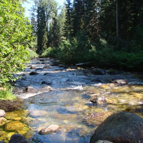 Photo: Recreation Sites and Trails BC. © Province of British Columbia, licensed under the Open Government Licence – British Columbia. Kittil Falls, photo 4
