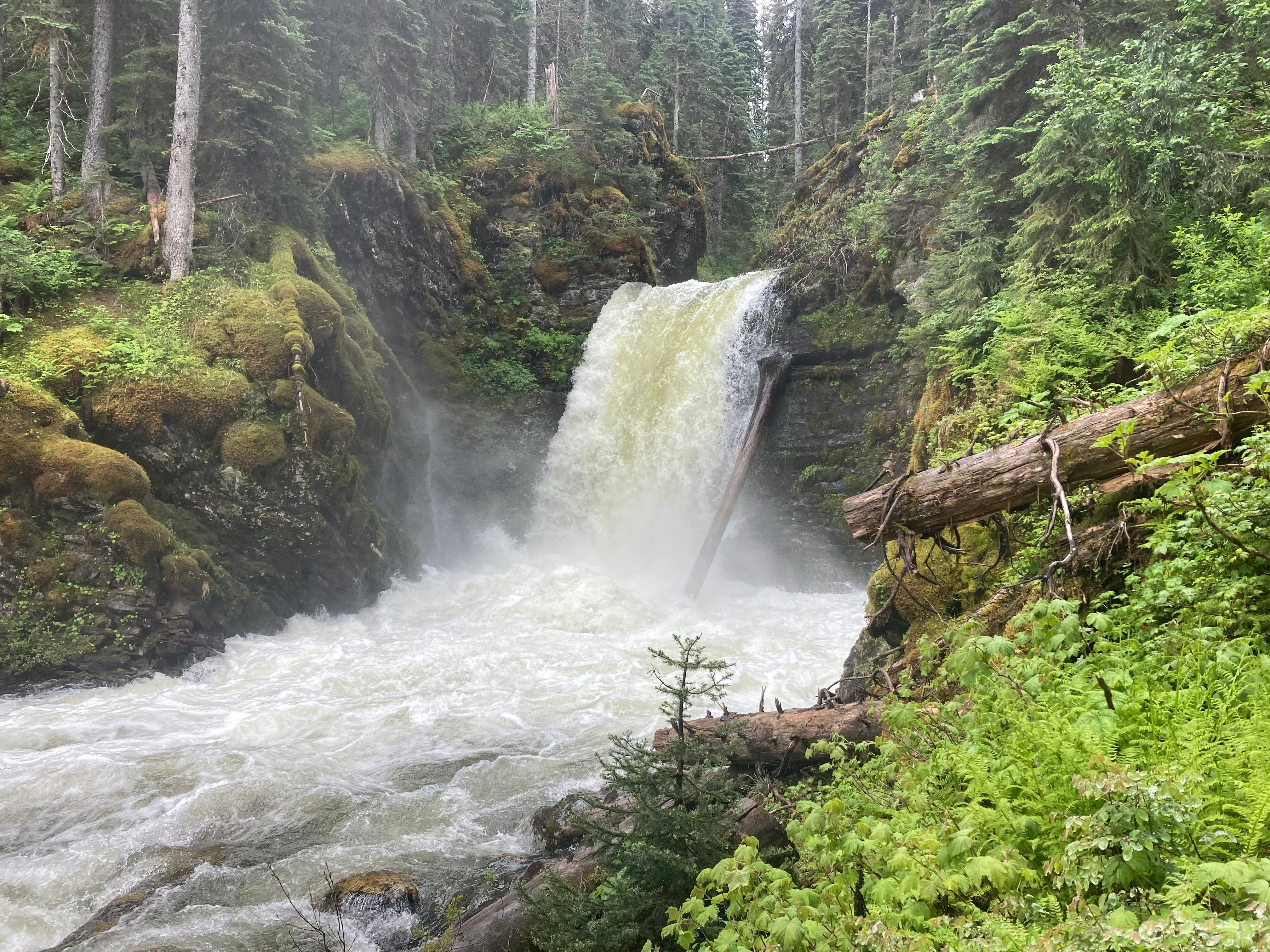 Photo: Recreation Sites and Trails BC. © Province of British Columbia, licensed under the Open Government Licence – British Columbia. Kittil Falls, photo 3