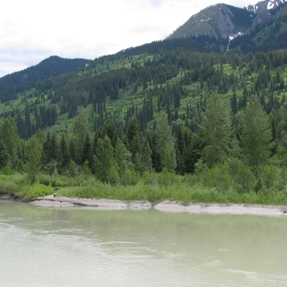 Mcgregor River