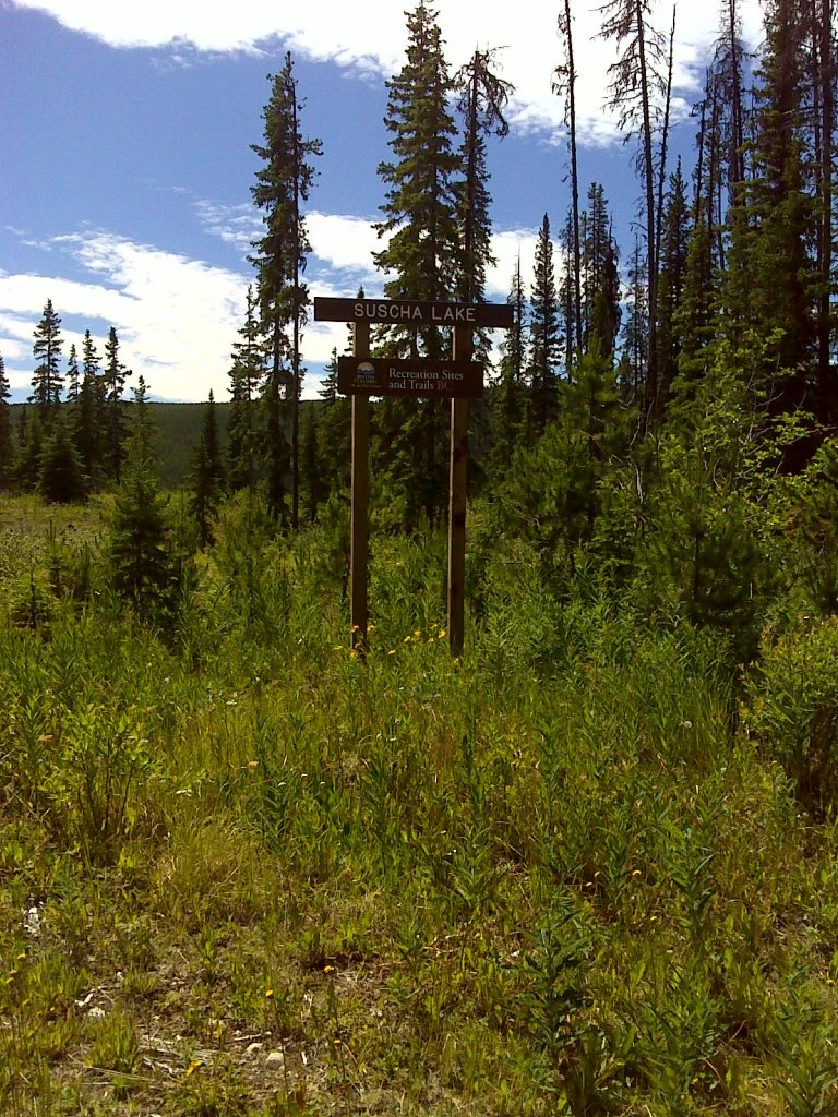 Photo: Recreation Sites and Trails BC. © Province of British Columbia, licensed under the Open Government Licence – British Columbia. Suscha Lake, photo 4