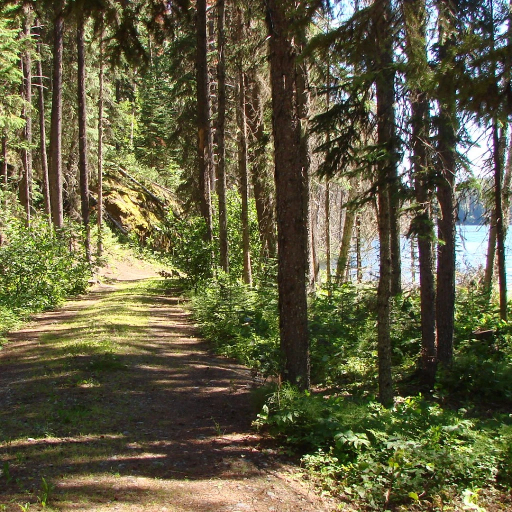 Photo: Recreation Sites and Trails BC. © Province of British Columbia, licensed under the Open Government Licence – British Columbia. Butternut Lake, photo 3