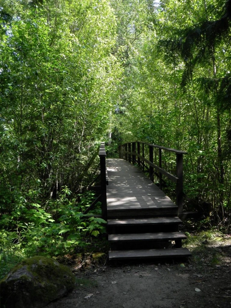 Photo: Recreation Sites and Trails BC. © Province of British Columbia, licensed under the Open Government Licence – British Columbia. Sugar Lake 2 Mile, photo 8