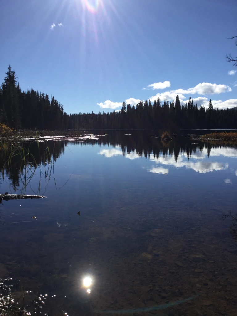 Photo: Recreation Sites and Trails BC. © Province of British Columbia, licensed under the Open Government Licence – British Columbia. Graffunder Lakes North