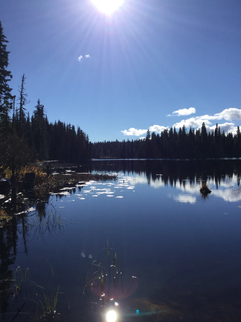 Photo: Recreation Sites and Trails BC. © Province of British Columbia, licensed under the Open Government Licence – British Columbia. Graffunder Lakes North, photo 2