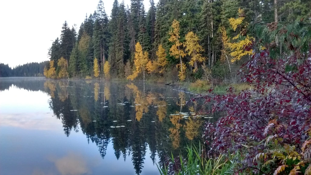 Photo: Recreation Sites and Trails BC. © Province of British Columbia, licensed under the Open Government Licence – British Columbia. Lolo Lake, photo 2