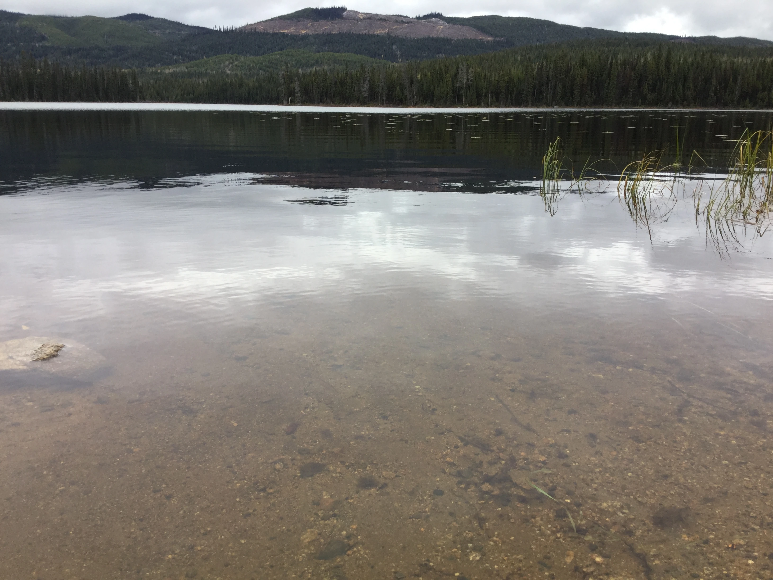 Photo: Recreation Sites and Trails BC. © Province of British Columbia, licensed under the Open Government Licence – British Columbia. Moira Lake South, photo 3