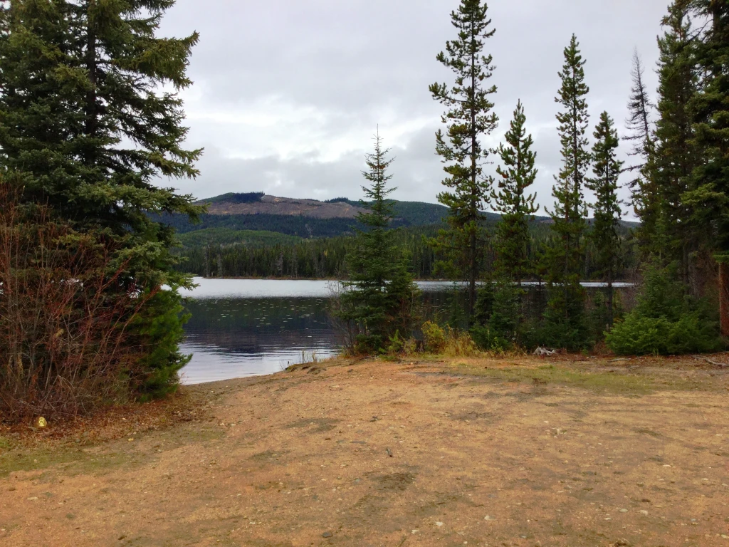 Photo: Recreation Sites and Trails BC. © Province of British Columbia, licensed under the Open Government Licence – British Columbia. Moira Lake South