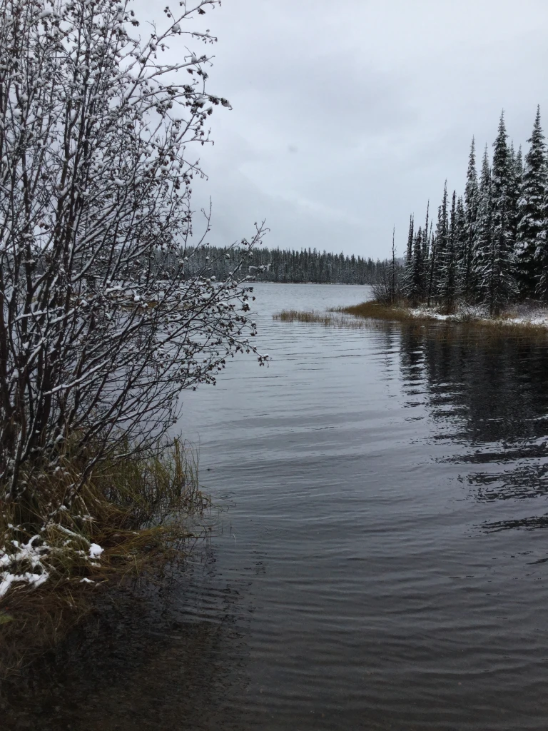 Photo: Recreation Sites and Trails BC. © Province of British Columbia, licensed under the Open Government Licence – British Columbia. Ejas Lake