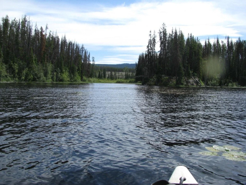 Photo: Recreation Sites and Trails BC. © Province of British Columbia, licensed under the Open Government Licence – British Columbia. Nicklen Lake East, photo 5