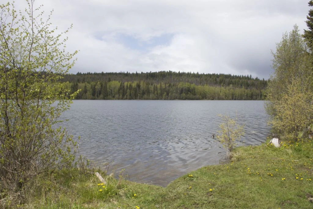 Photo: Recreation Sites and Trails BC. © Province of British Columbia, licensed under the Open Government Licence – British Columbia. Badger Lake