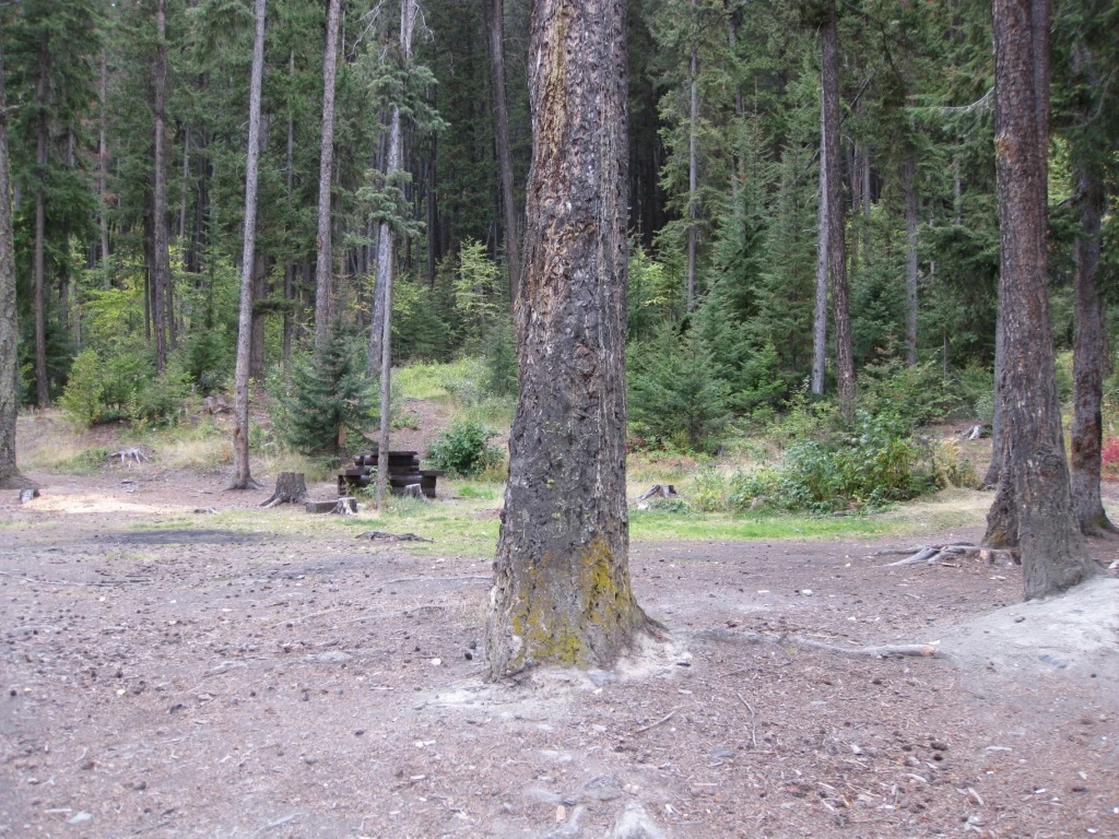 Photo: Recreation Sites and Trails BC. © Province of British Columbia, licensed under the Open Government Licence – British Columbia. Sullivan Lake (Knouff), photo 5