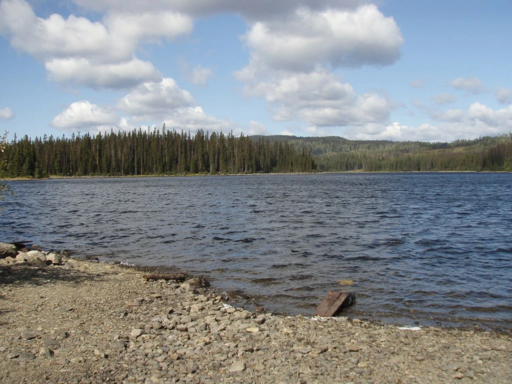 Photo: Recreation Sites and Trails BC. © Province of British Columbia, licensed under the Open Government Licence – British Columbia. Allan Lake