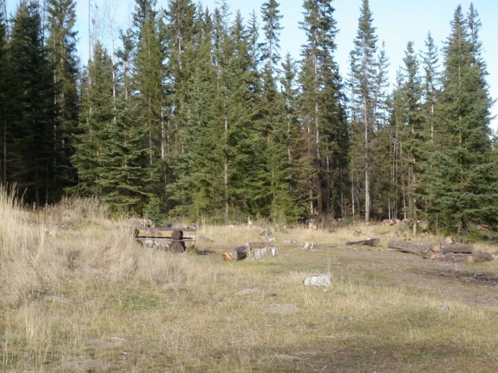 Photo: Recreation Sites and Trails BC. © Province of British Columbia, licensed under the Open Government Licence – British Columbia. Plateau Lake, photo 3