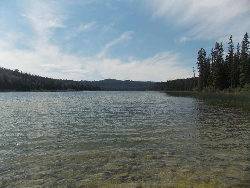 Photo: Recreation Sites and Trails BC. © Province of British Columbia, licensed under the Open Government Licence – British Columbia. Plateau Lake, photo 7