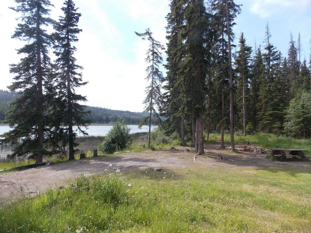 Photo: Recreation Sites and Trails BC. © Province of British Columbia, licensed under the Open Government Licence – British Columbia. Plateau Lake, photo 5