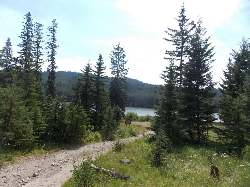 Photo: Recreation Sites and Trails BC. © Province of British Columbia, licensed under the Open Government Licence – British Columbia. Plateau Lake, photo 8