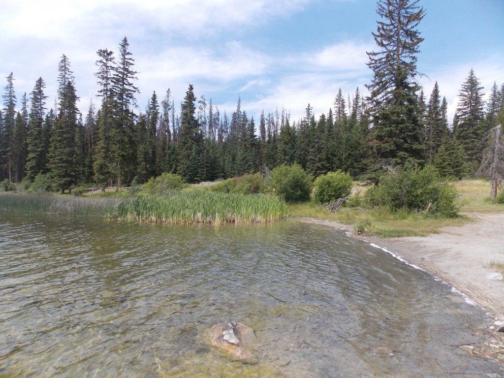 Photo: Recreation Sites and Trails BC. © Province of British Columbia, licensed under the Open Government Licence – British Columbia. Plateau Lake, photo 6