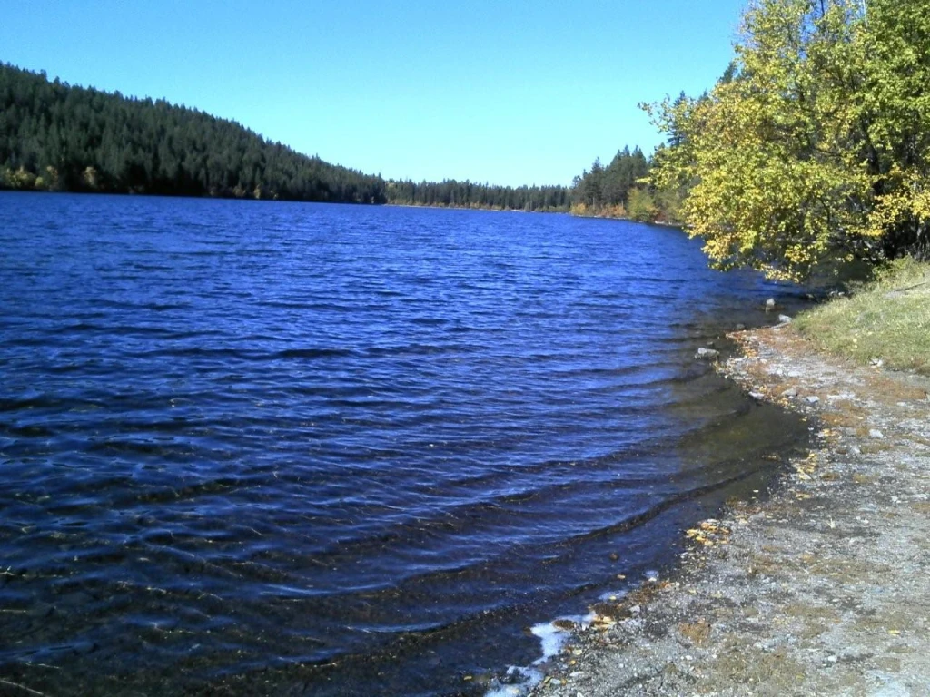 Photo: Recreation Sites and Trails BC. © Province of British Columbia, licensed under the Open Government Licence – British Columbia. Woods Lake North, photo 2