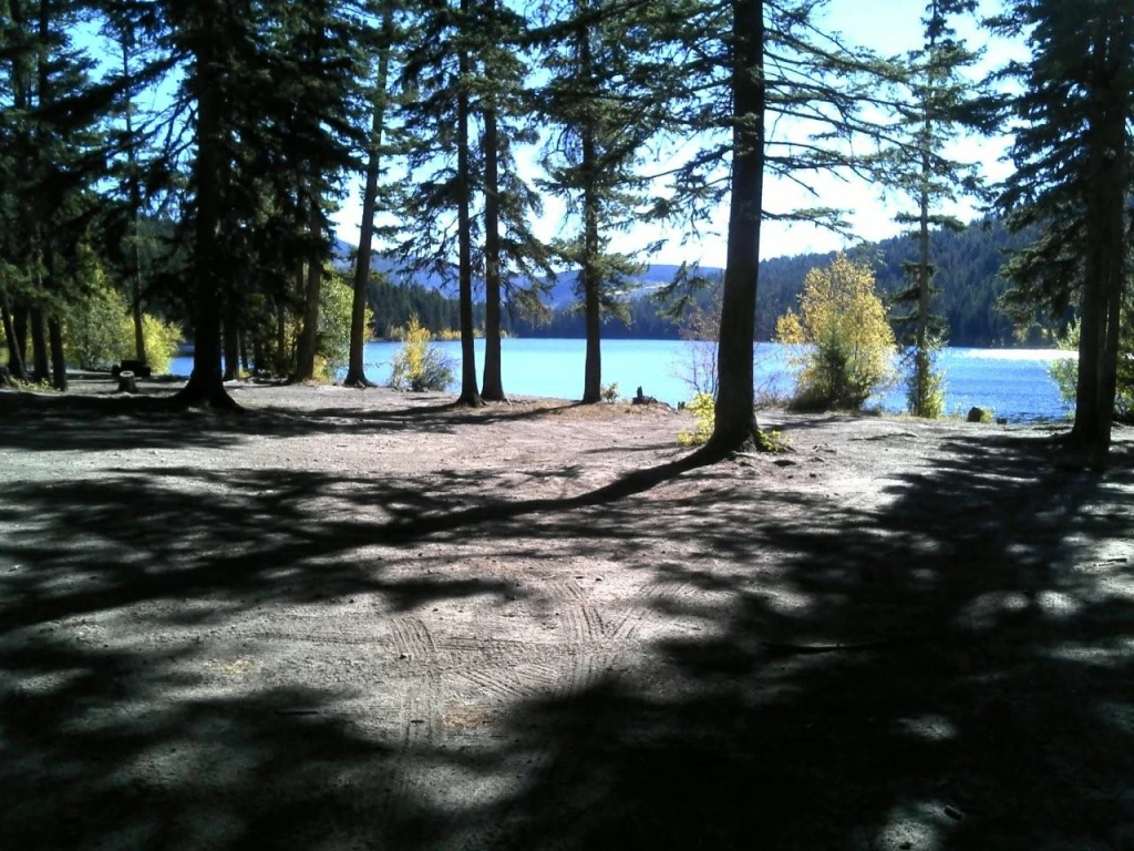 Photo: Recreation Sites and Trails BC. © Province of British Columbia, licensed under the Open Government Licence – British Columbia. Woods Lake North, photo 3