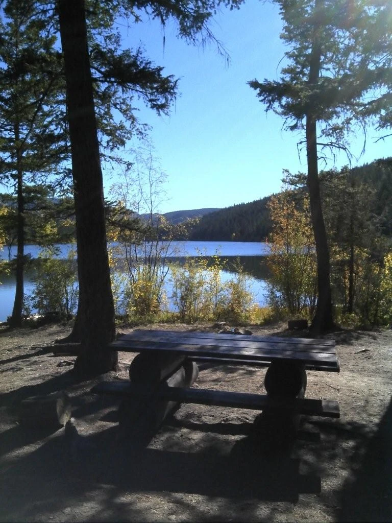Photo: Recreation Sites and Trails BC. © Province of British Columbia, licensed under the Open Government Licence – British Columbia. Woods Lake North, photo 4