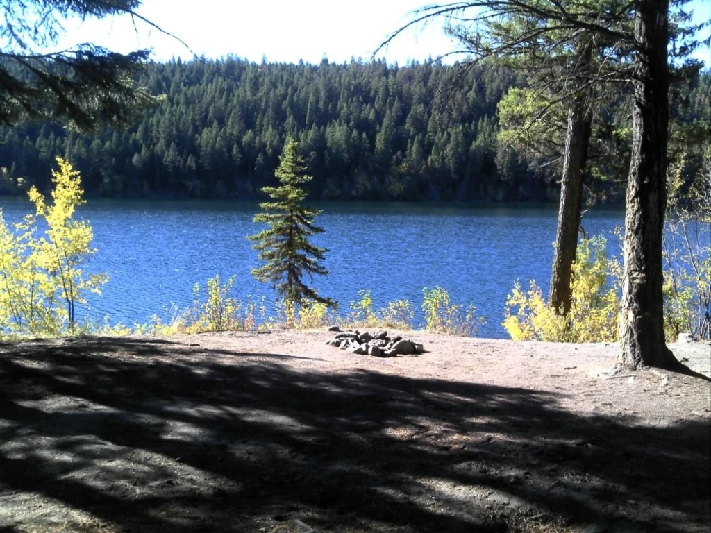 Photo: Recreation Sites and Trails BC. © Province of British Columbia, licensed under the Open Government Licence – British Columbia. Woods Lake North, photo 7