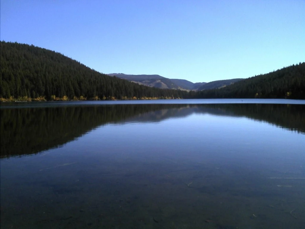Photo: Recreation Sites and Trails BC. © Province of British Columbia, licensed under the Open Government Licence – British Columbia. Woods Lake North, photo 5