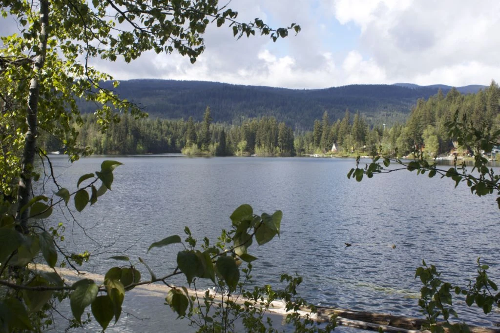 Heffley Lake
