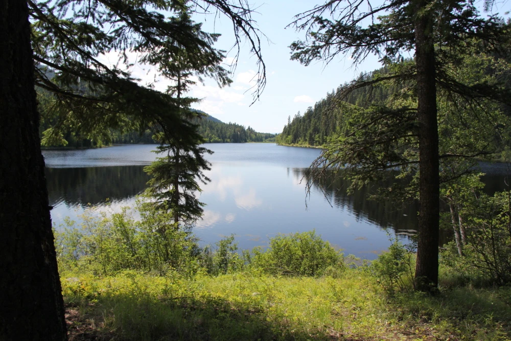 Photo: Recreation Sites and Trails BC. © Province of British Columbia, licensed under the Open Government Licence – British Columbia. Harper Lake, photo 4