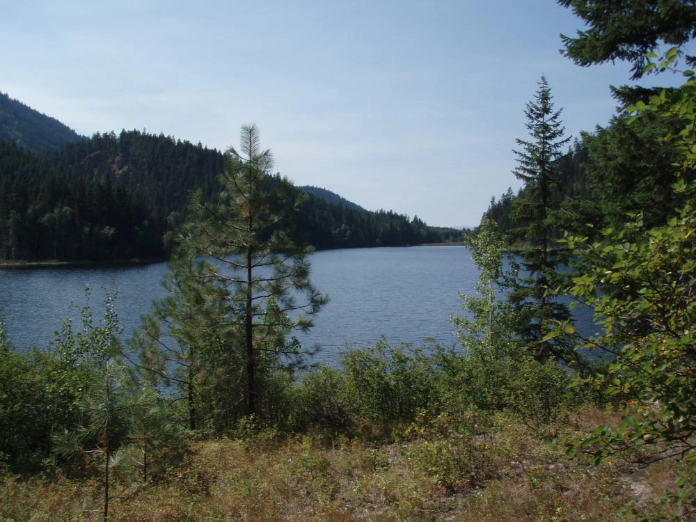 Photo: Recreation Sites and Trails BC. © Province of British Columbia, licensed under the Open Government Licence – British Columbia. Harper Lake, photo 12