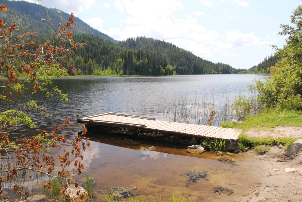 Photo: Recreation Sites and Trails BC. © Province of British Columbia, licensed under the Open Government Licence – British Columbia. Harper Lake, photo 10