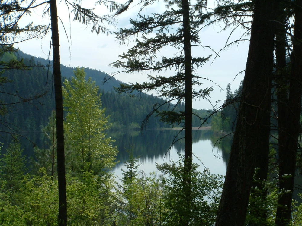 Photo: Recreation Sites and Trails BC. © Province of British Columbia, licensed under the Open Government Licence – British Columbia. Harper Lake, photo 1