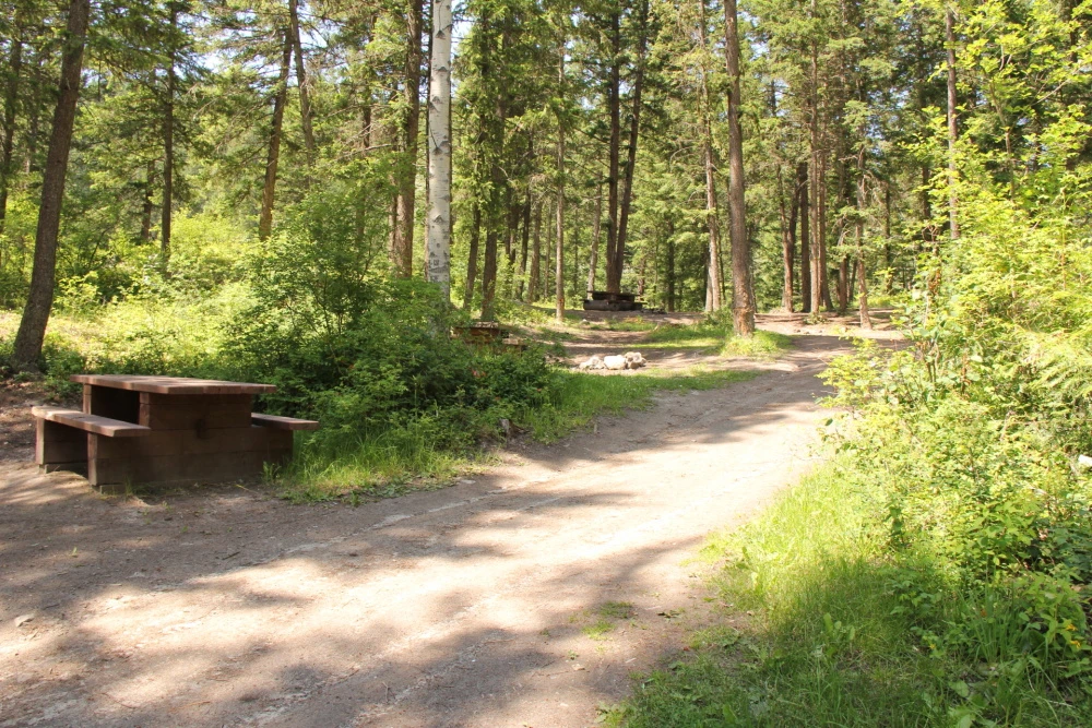 Photo: Recreation Sites and Trails BC. © Province of British Columbia, licensed under the Open Government Licence – British Columbia. Harper Lake, photo 3