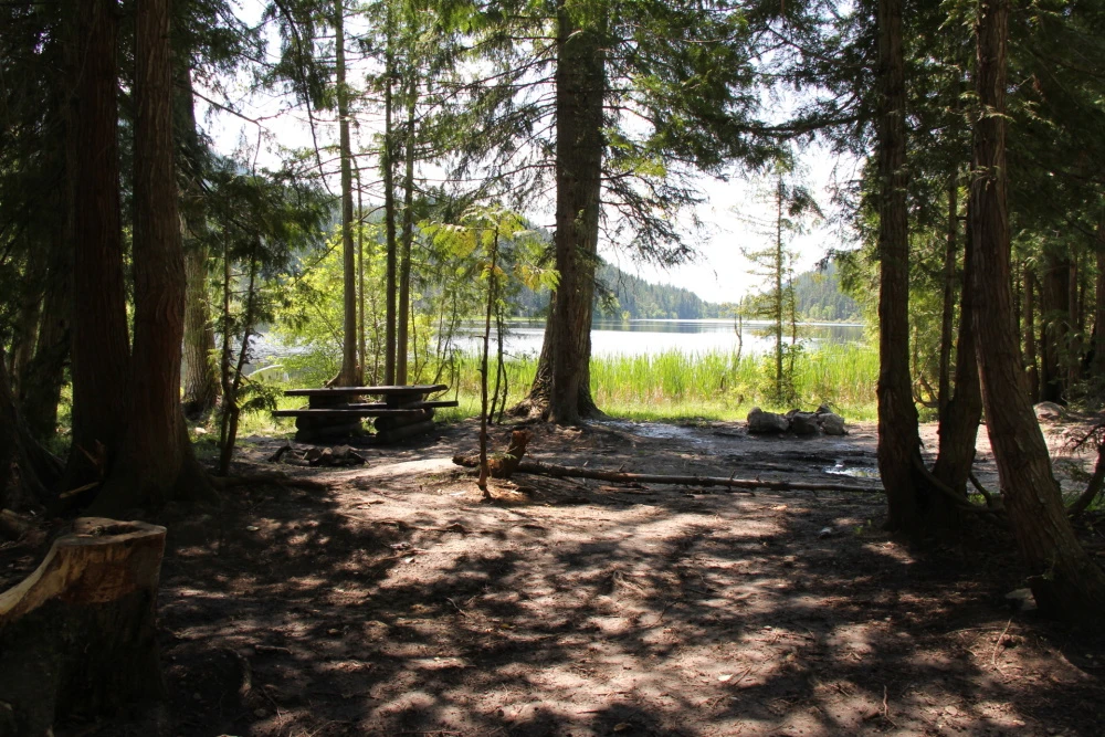 Photo: Recreation Sites and Trails BC. © Province of British Columbia, licensed under the Open Government Licence – British Columbia. Harper Lake, photo 5